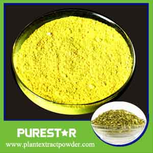 Sophora Japonica Flower Extract Rutin