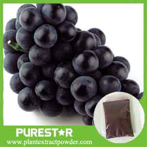 Grape Skin Extract,Resveratrol,Polyphenols 