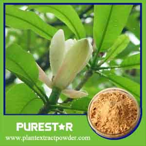 Magnolia Bark Extract Magnolol 