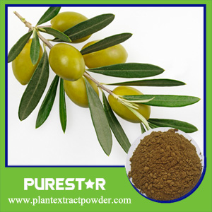 Olive Leaf Extract 