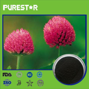 Red Clover Extract,Isoflavones