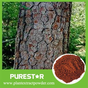 Pine Bark Extract OPC