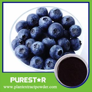 Blueberry Extract Anthocyanosides Anthocyanidin