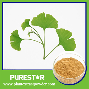 Ginkgo Biloba Extract