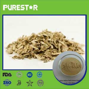 White Willow Extract,Salicin