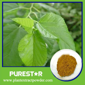 Mulberry leaf Extract,1-Deoxynojirimycin(DNJ)