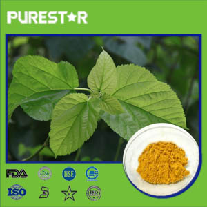 Mulberry leaf Extract,Flavonoids