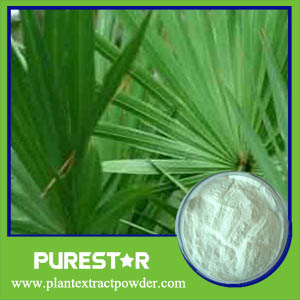 Saw Palmetto Berry Extract/Saw Palmetto Extract