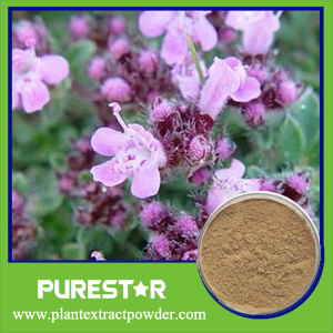 Thyme Leaf Extract