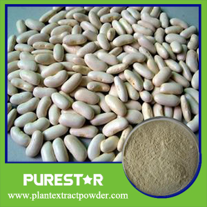 White Kidney Bean Extract,Phaseolin