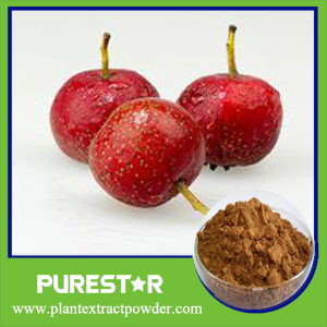 Hawthorn Leaf Extract,Flavonoids