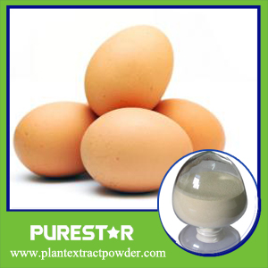 Egg White Peptide 