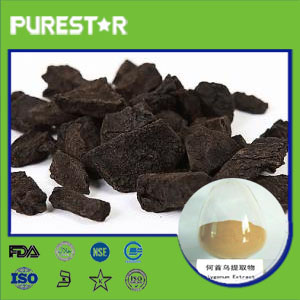 Tuber Fleeceflower Root Extract,Polygonum multiflorum Extract