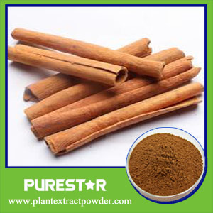 Cinnamon Bark Extract Cinnamaldehyde