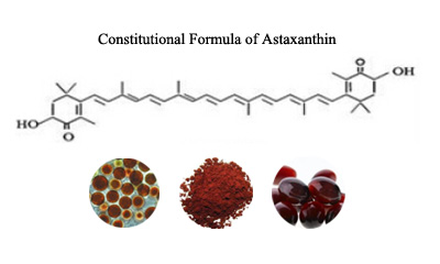 Haematococcus Pluvialis Extract,Astaxanthin
