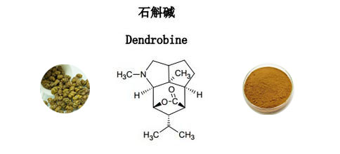 Dendrobium Extract,Dendrobine