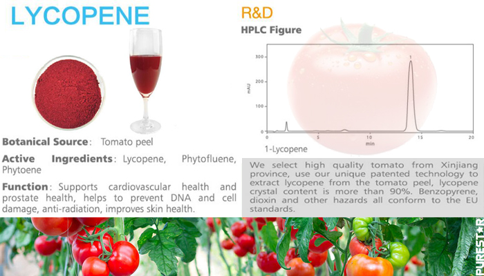 Tomato Extract,Lycopene