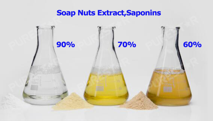 water solution of different purity Soapnut Extract,Soapnut Saponins powder