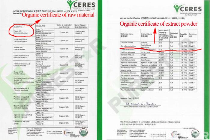 Organic certificate of reishi mushroom extract powder
