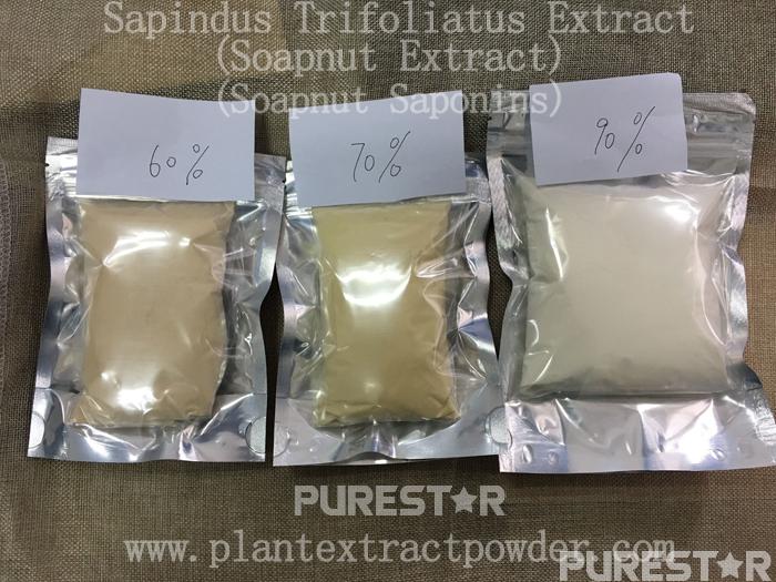 Different purity soapnuts extract powder