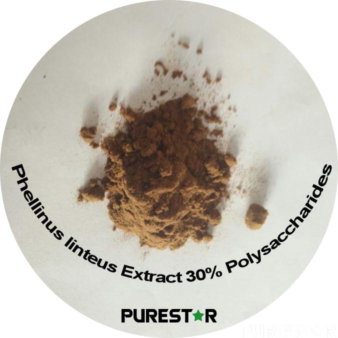 Phellinus Linteus Extract，Polysaccharide 30%