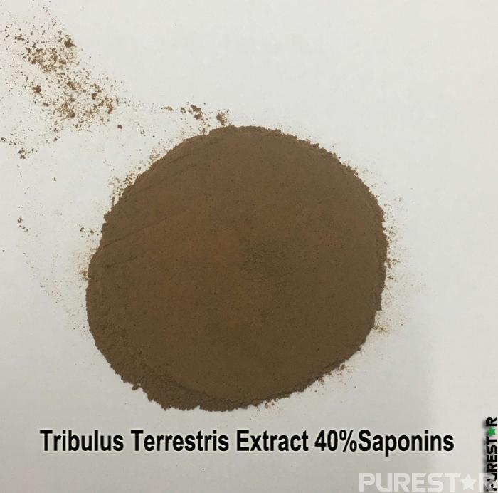 Tribulus Terrestris Extract 40%Saponins